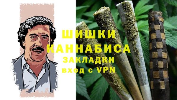 мдпв Верхний Тагил