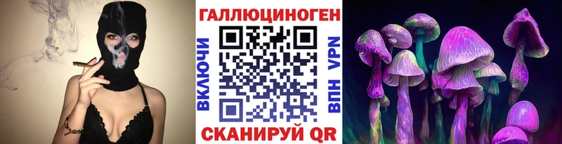 Купить Ачхой-Мартан Псилоцибиновые грибы MAGIC MUSHROOMS
